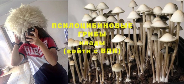 дживик Аркадак