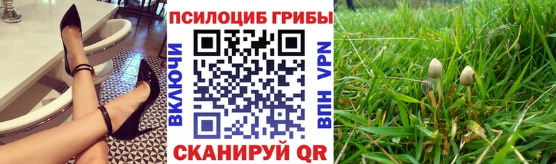 Галлюциногенные грибы MAGIC MUSHROOMS  KRAKEN   Богданович 